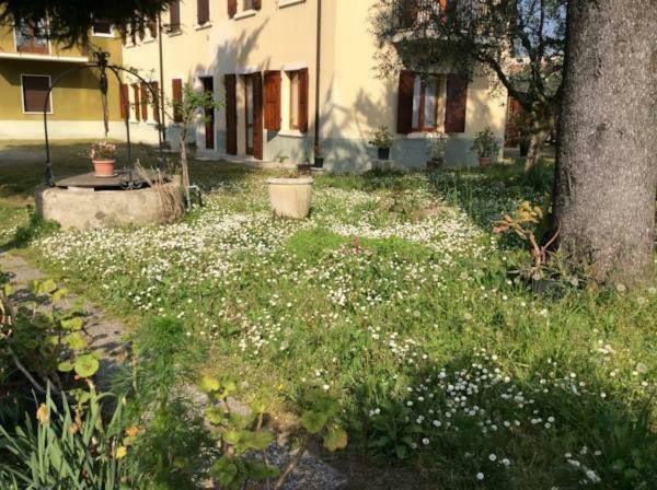 Casa Olinda Apartment Lazise Exterior photo